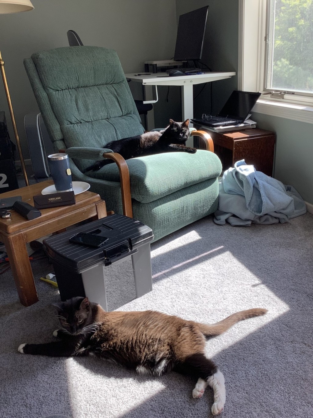 About HappyAgingRunner